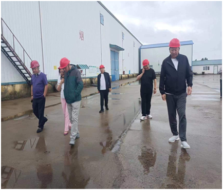 281687933870155609.png image.png