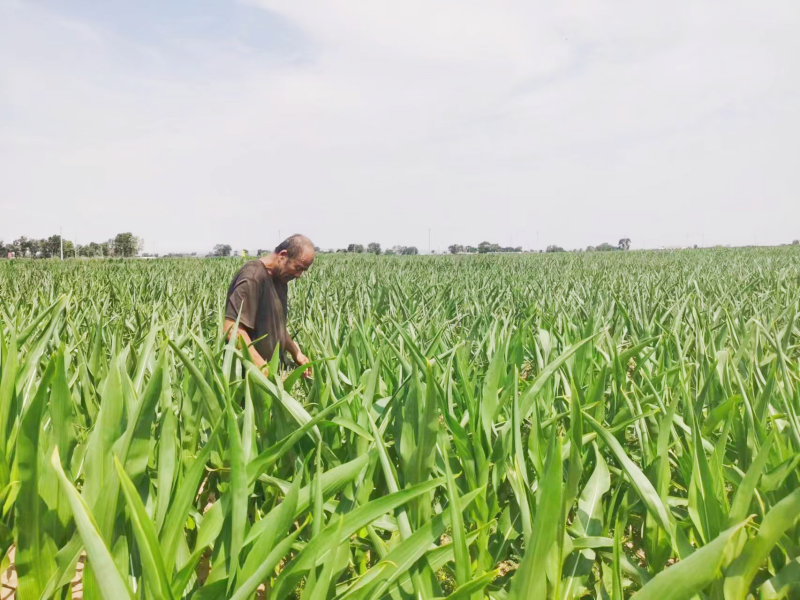 111720665975138982.png 圖片4_副本.png