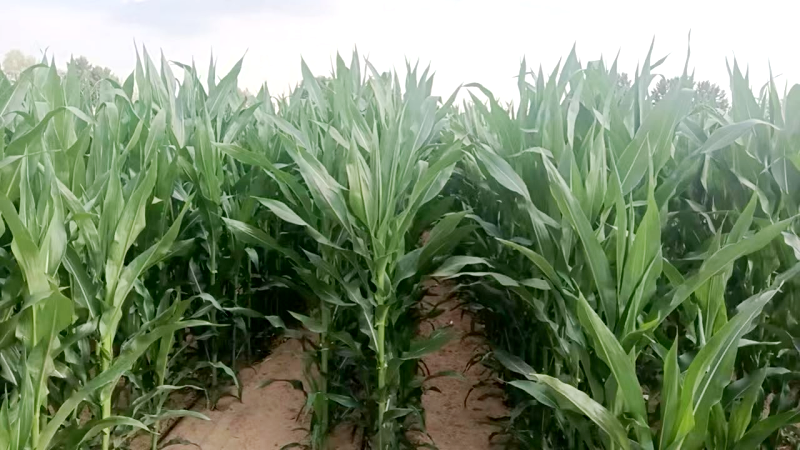 111720666045883613.png 圖片5_副本.png