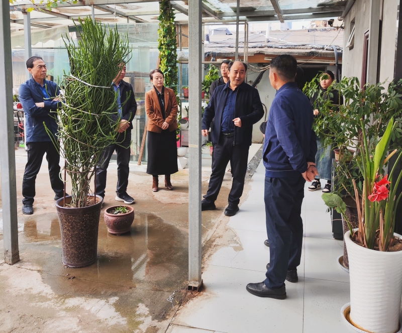 041733283054919943.jpeg 2_副本.jpg